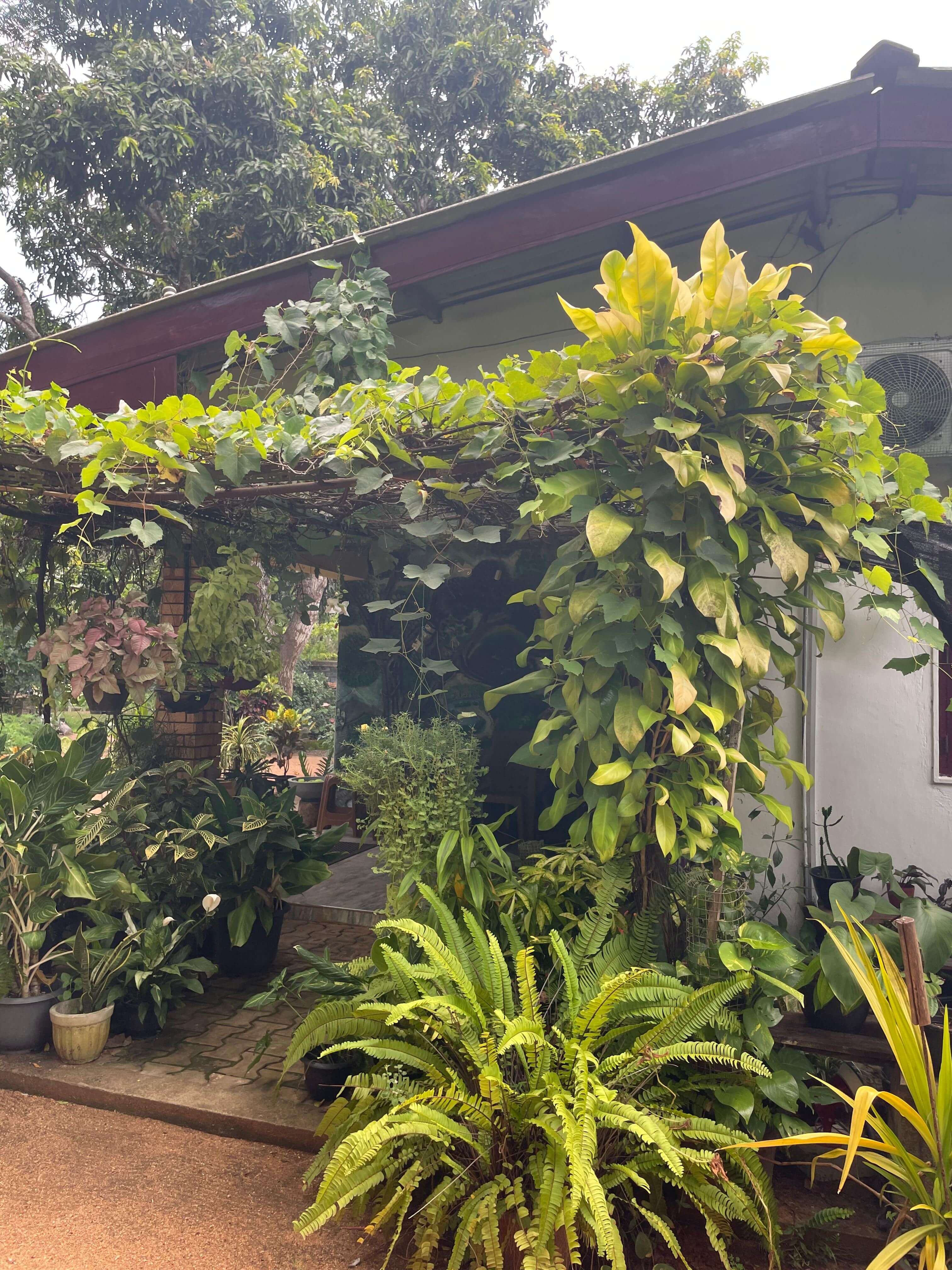 Olivia Homestay Gallery 15